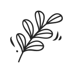 אתגר פתאום מתבגרת, שפת האימון